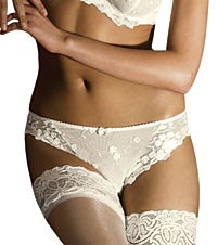 Venus Brief